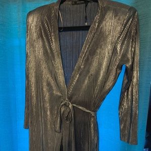 Zara Basic Collection Metallic Wrap Dress
